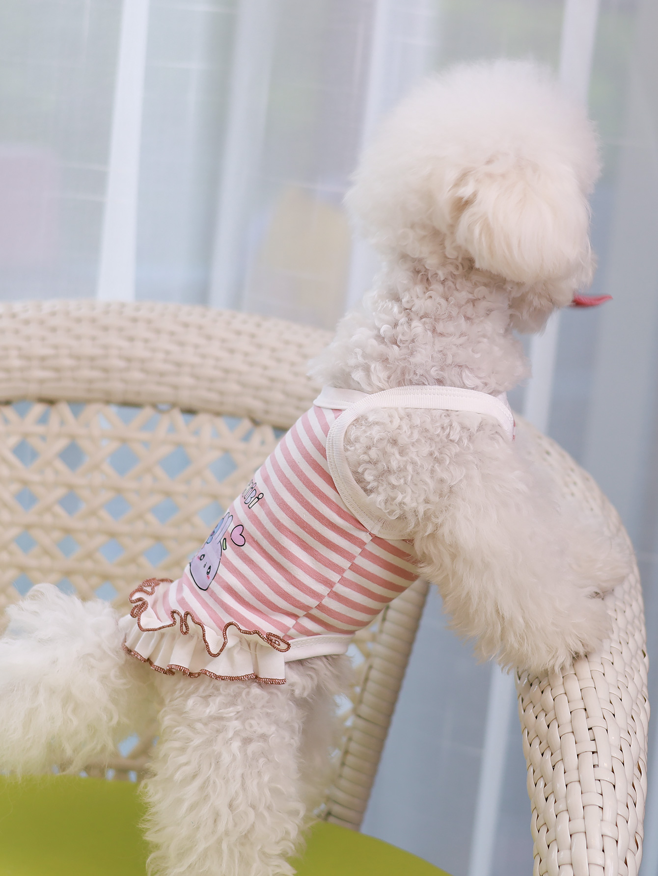 Dog vest, summer breathable th - Summer Clothing Material review and price