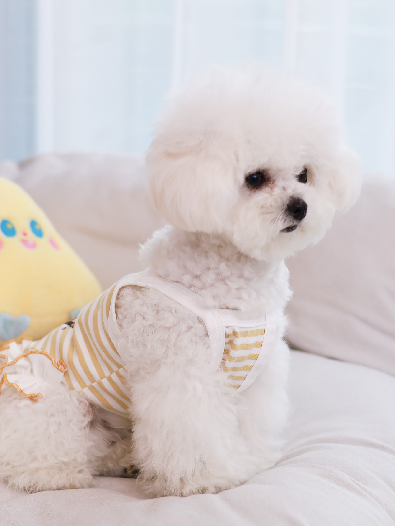 Dog vest, summer breathable th - Summer Clothing Material review and price